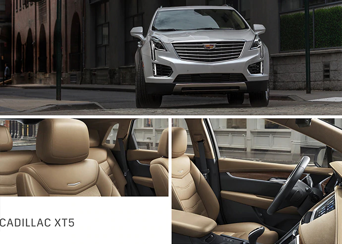 xt5_mondr_v2